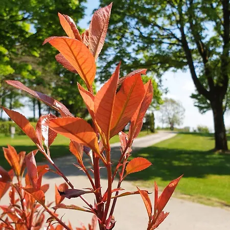 Σπίτι διακοπών Franz Josefs Tinyhaeuser Untergriesbach